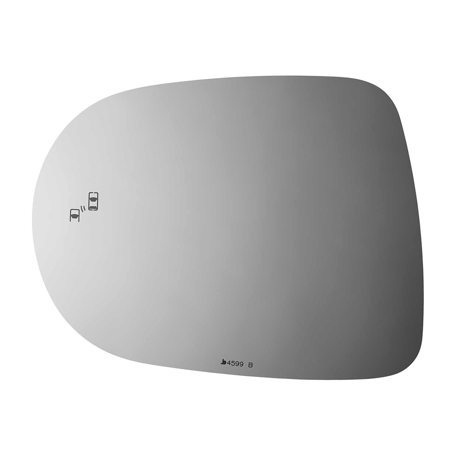 SIDE VIEW MIRROR W BLIND SPOT